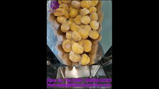 2287 J125 เครื่องบรรจุและปิดผนึกเกาลัดป้อนถุงแบบหมุน