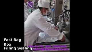 2108 L14 เครื่องบรรจุและปิดผนึกถุงในกล่องหัวเดียวกึ่งอัตโนมัติ